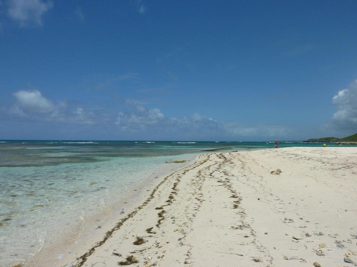 Appartamento Escapades Ensoleillees - Saint-Francois - Front De Mer Et Piscine Esterno foto